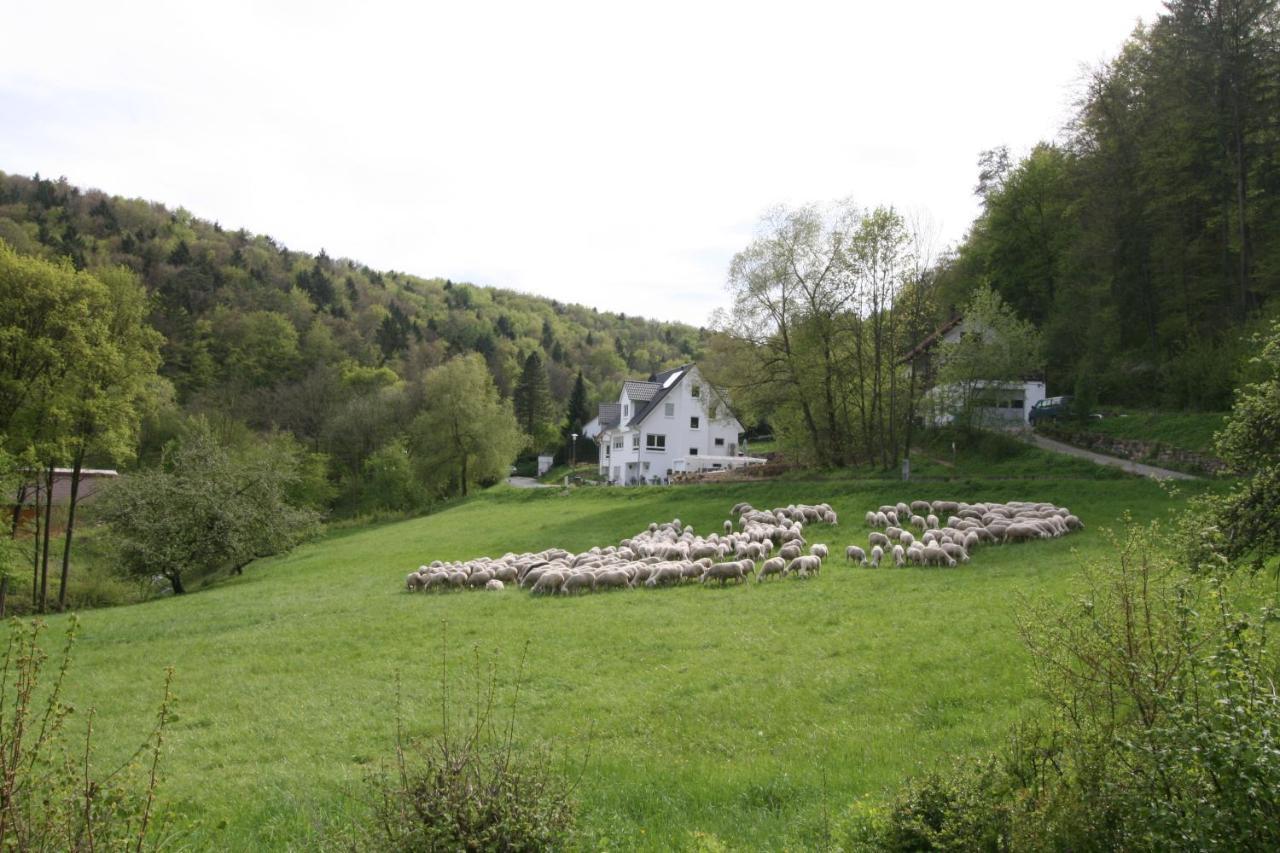 B&B Arlesbrunnen Egloffstein Exteriér fotografie